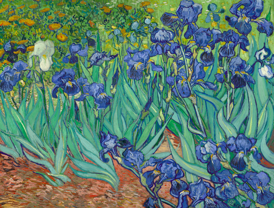 Iris, van Gogh, 1889. Paul Getty Museum, Los Angeles